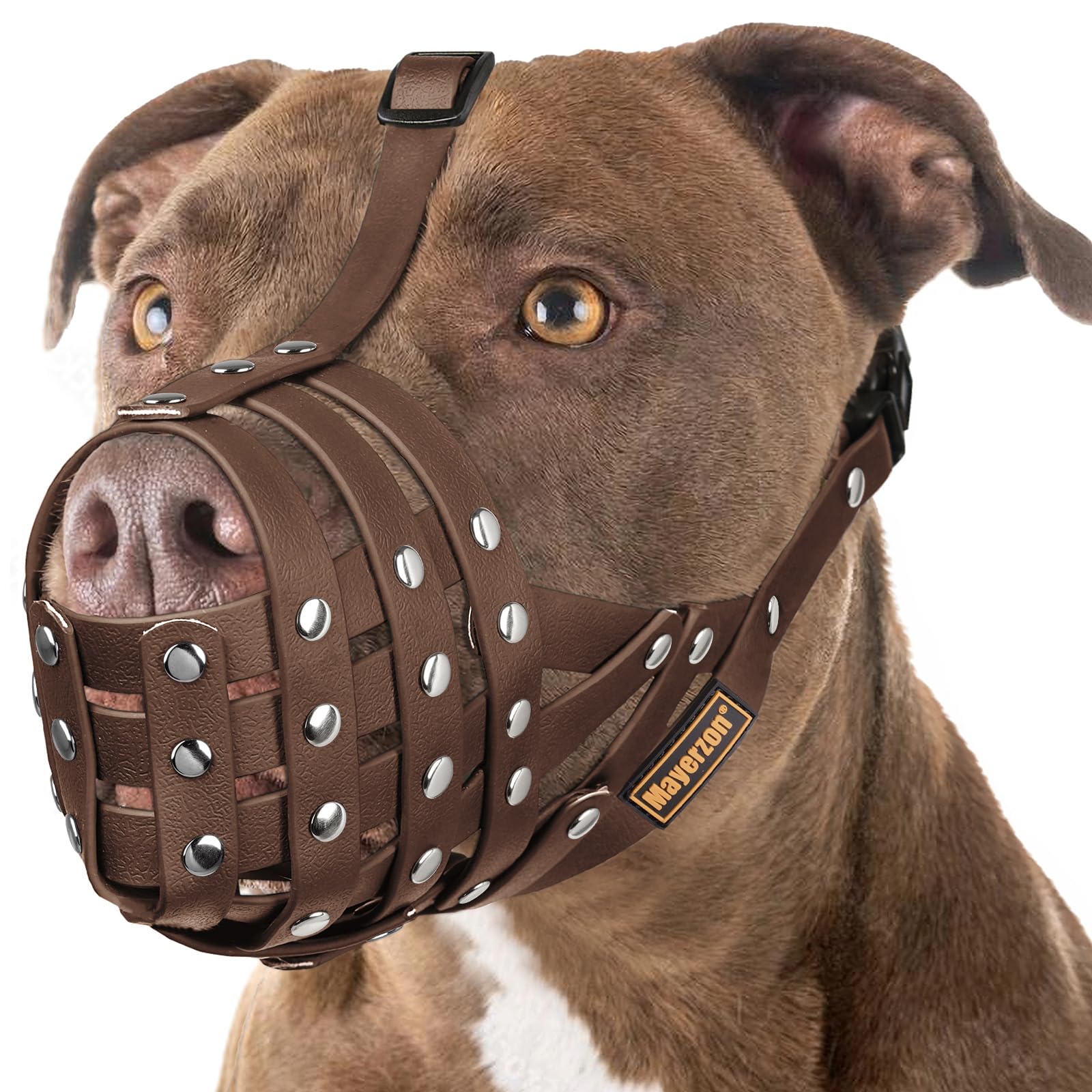 Mayerzon pitbull muzzle with overhead strap for secure fit.