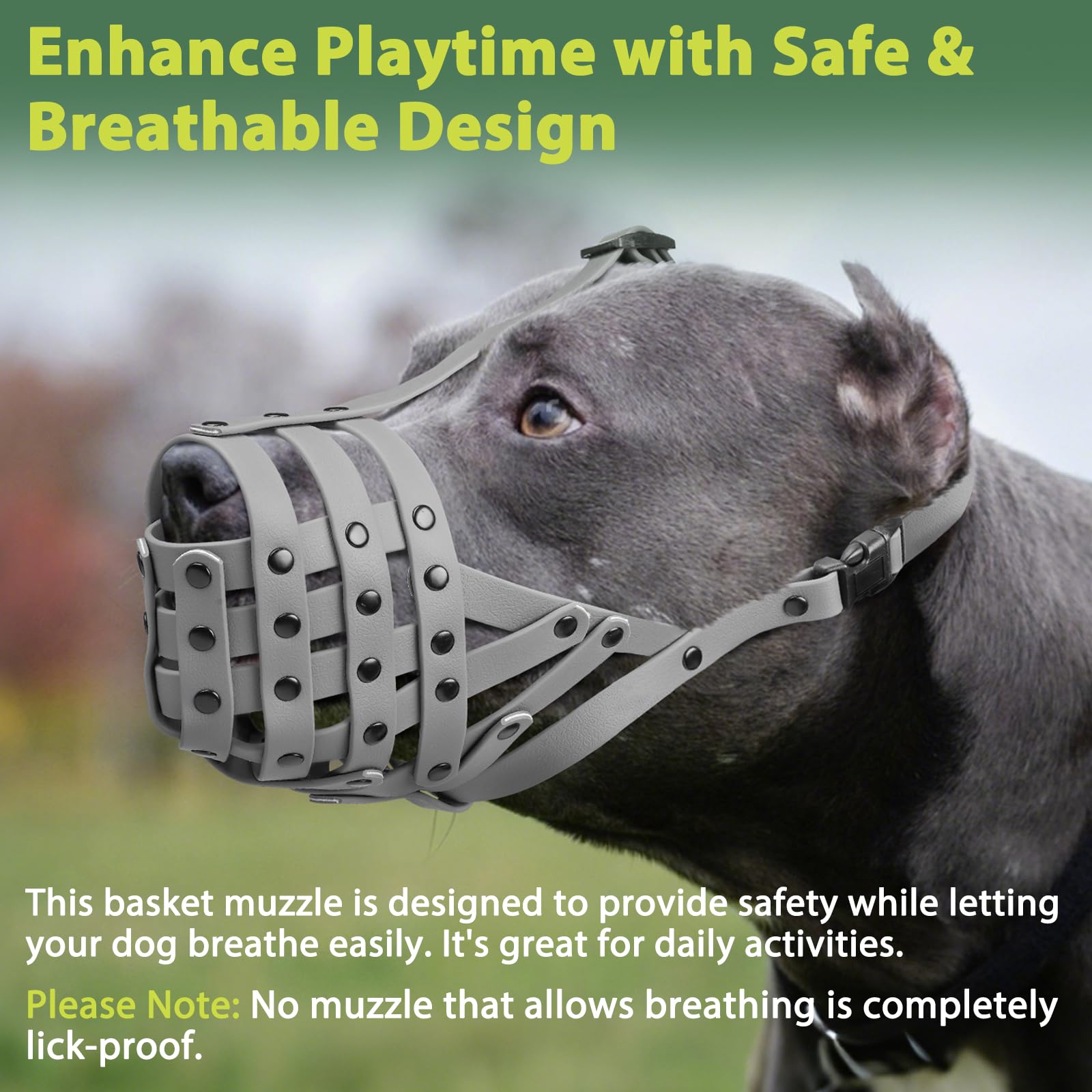 Mayerzon Pitbull Muzzle safety during walks under supervision