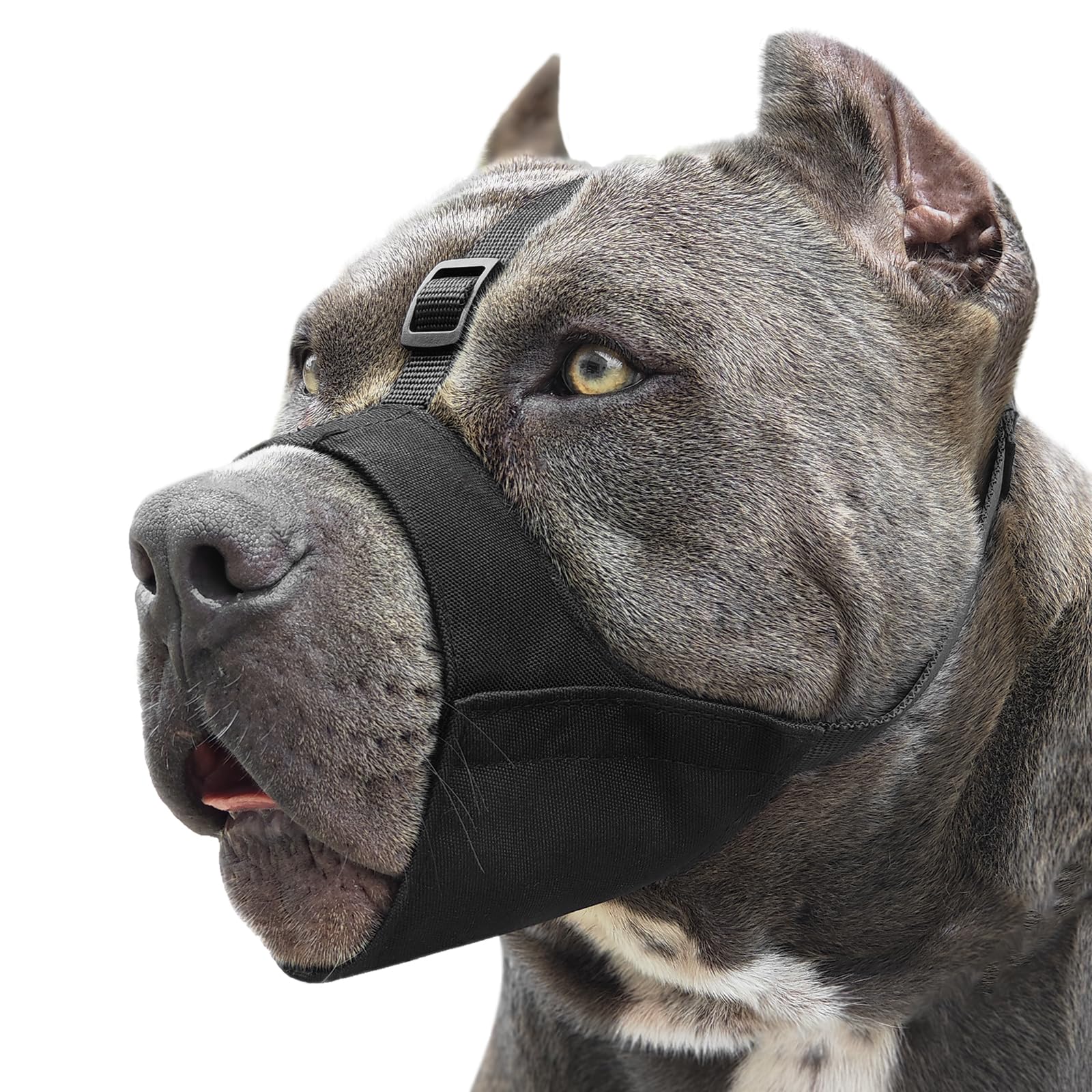 Mayerzon Pitbull Muzzle with soft strap secures during walks