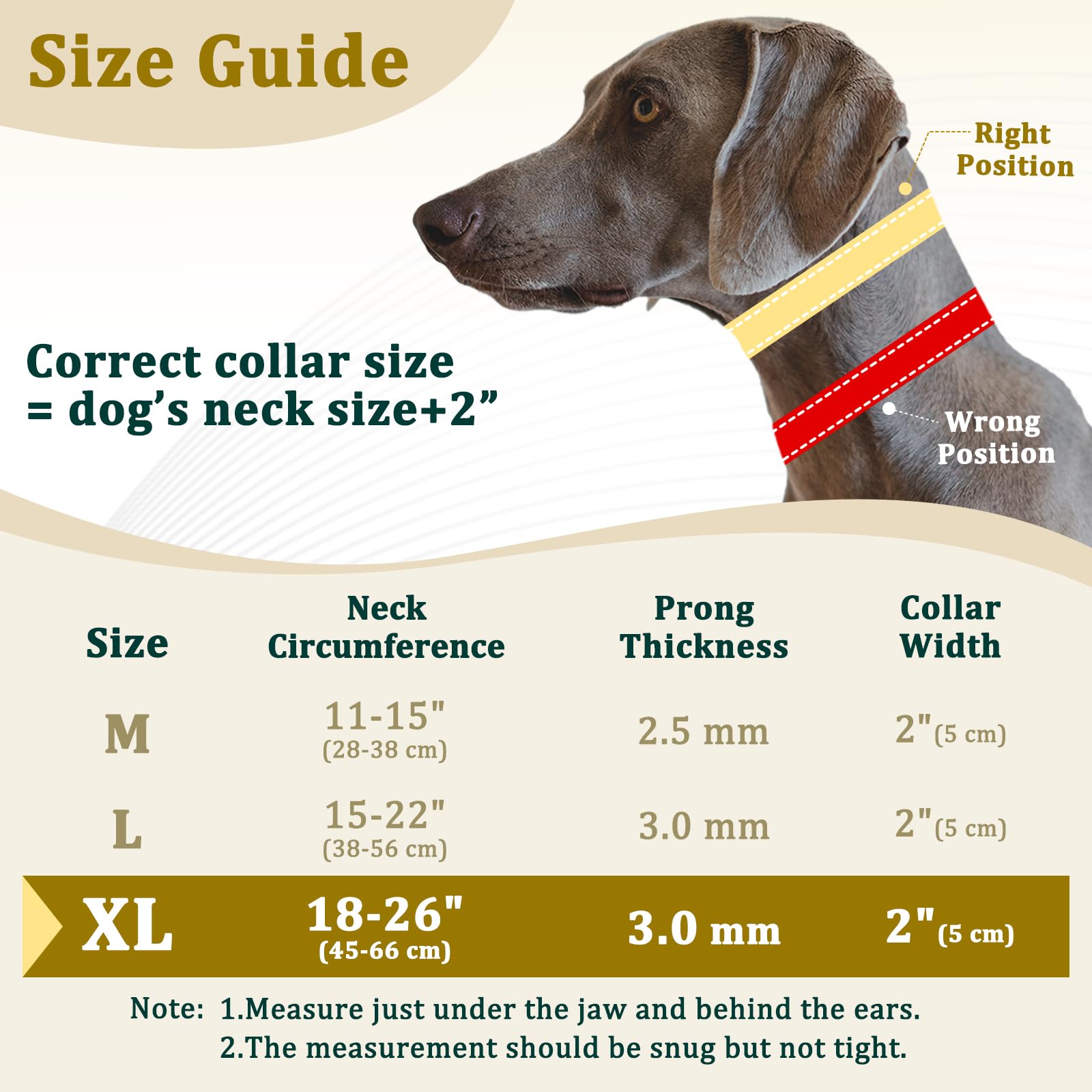 Mayerzon prong collar hidden prong design for discreet training