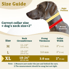 Mayerzon prong collar hidden prong design for discreet training