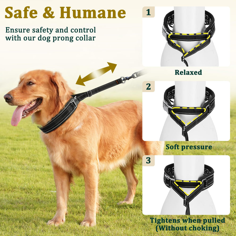Mayerzon prong collar in use during training sessions for calm walks