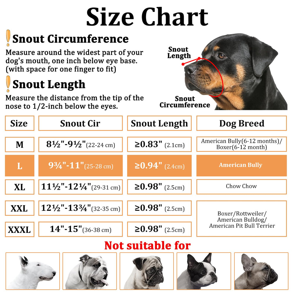 Mayerzon rugged Oxford fabric exterior resists scratches during walks