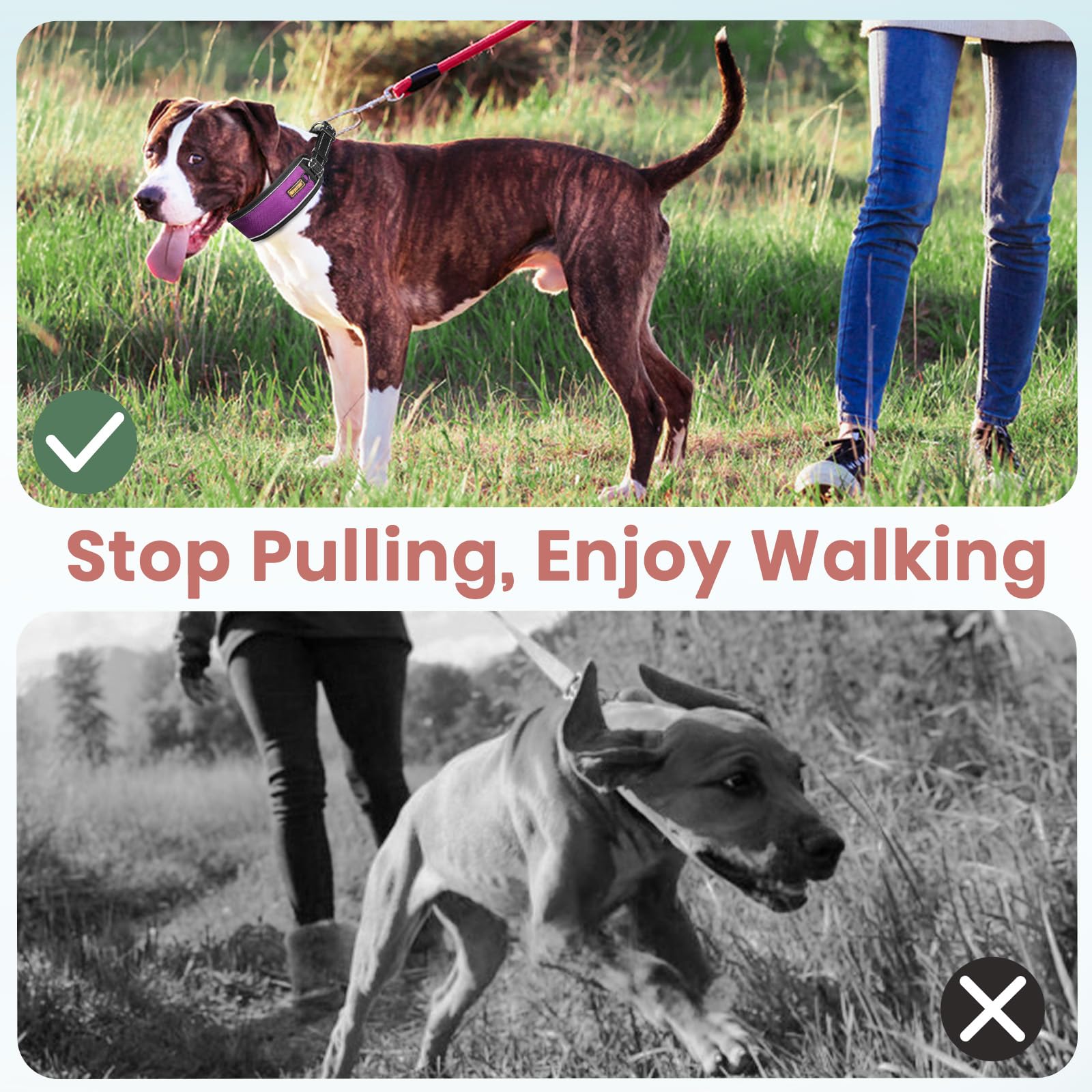 Mayerzon no pull training collar enables quick fit adjustments with a sturdy locking buckle.