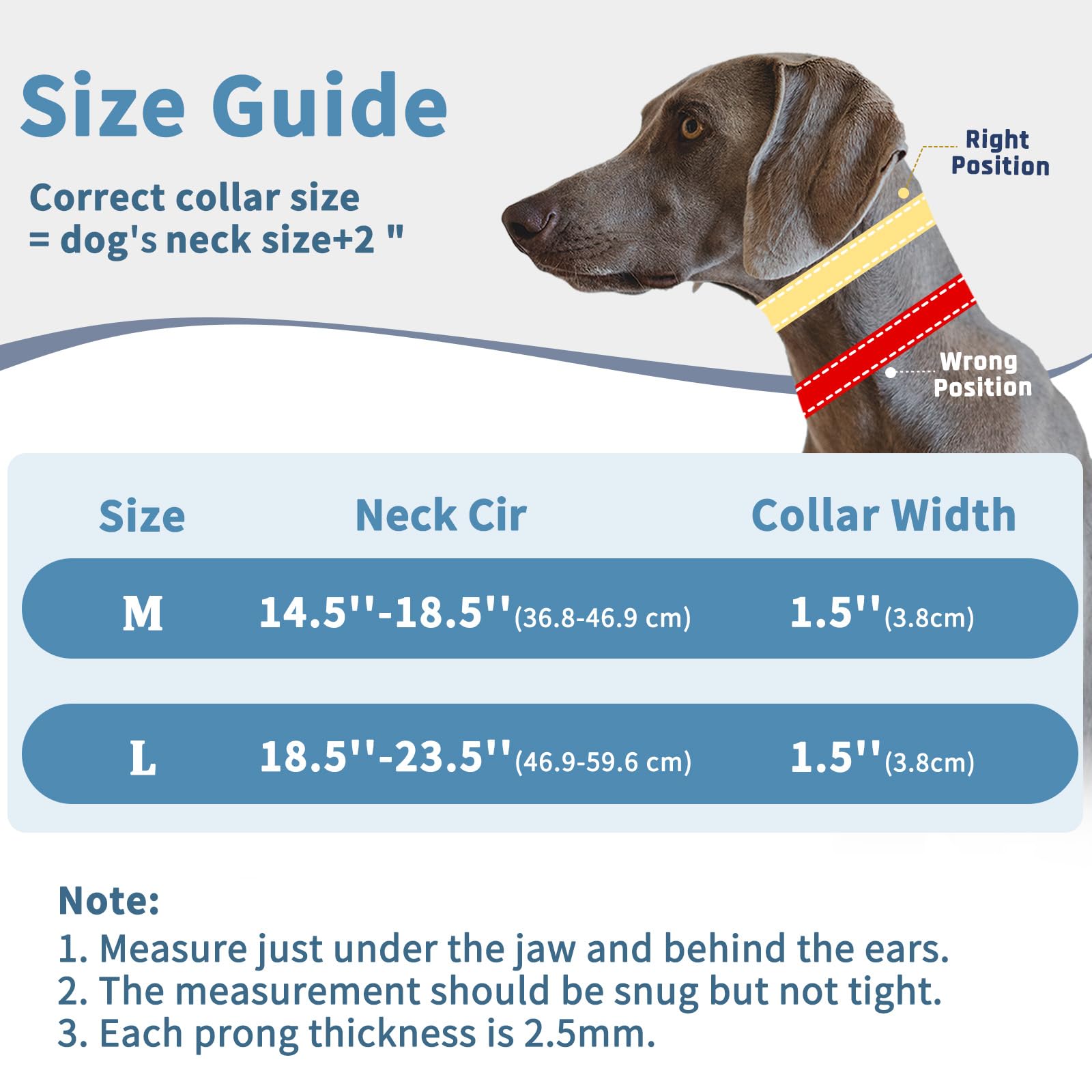 Mayerzon reflective stitching aids visibility during early-morning walks.