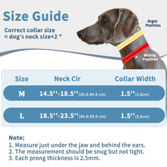 Mayerzon reflective stitching aids visibility during early-morning walks.