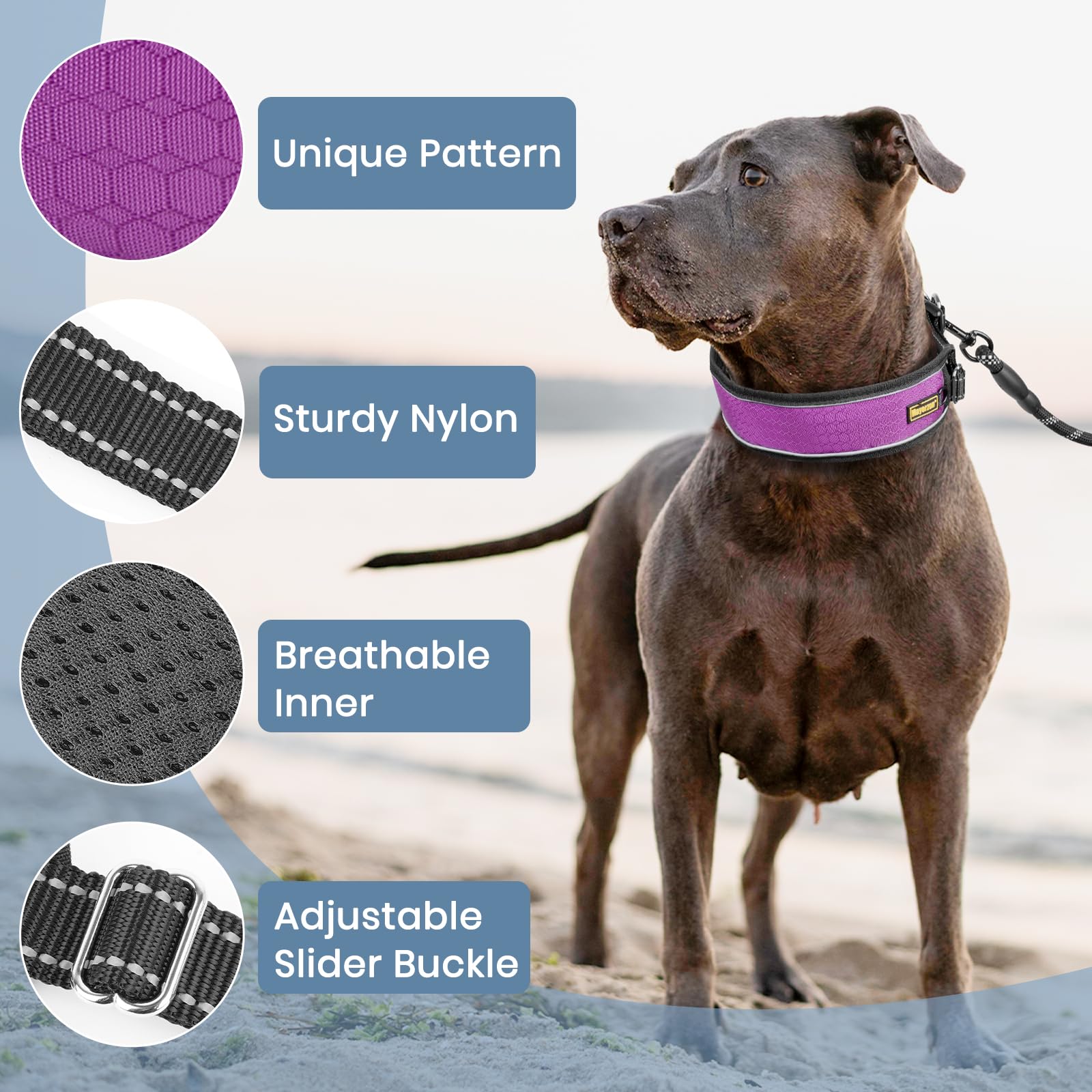 Mayerzon collar with reflective threads for safer nighttime walking.