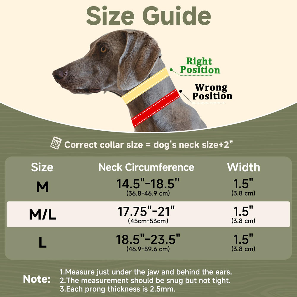 Mayerzon reflective webbing supports safer night-time walks.