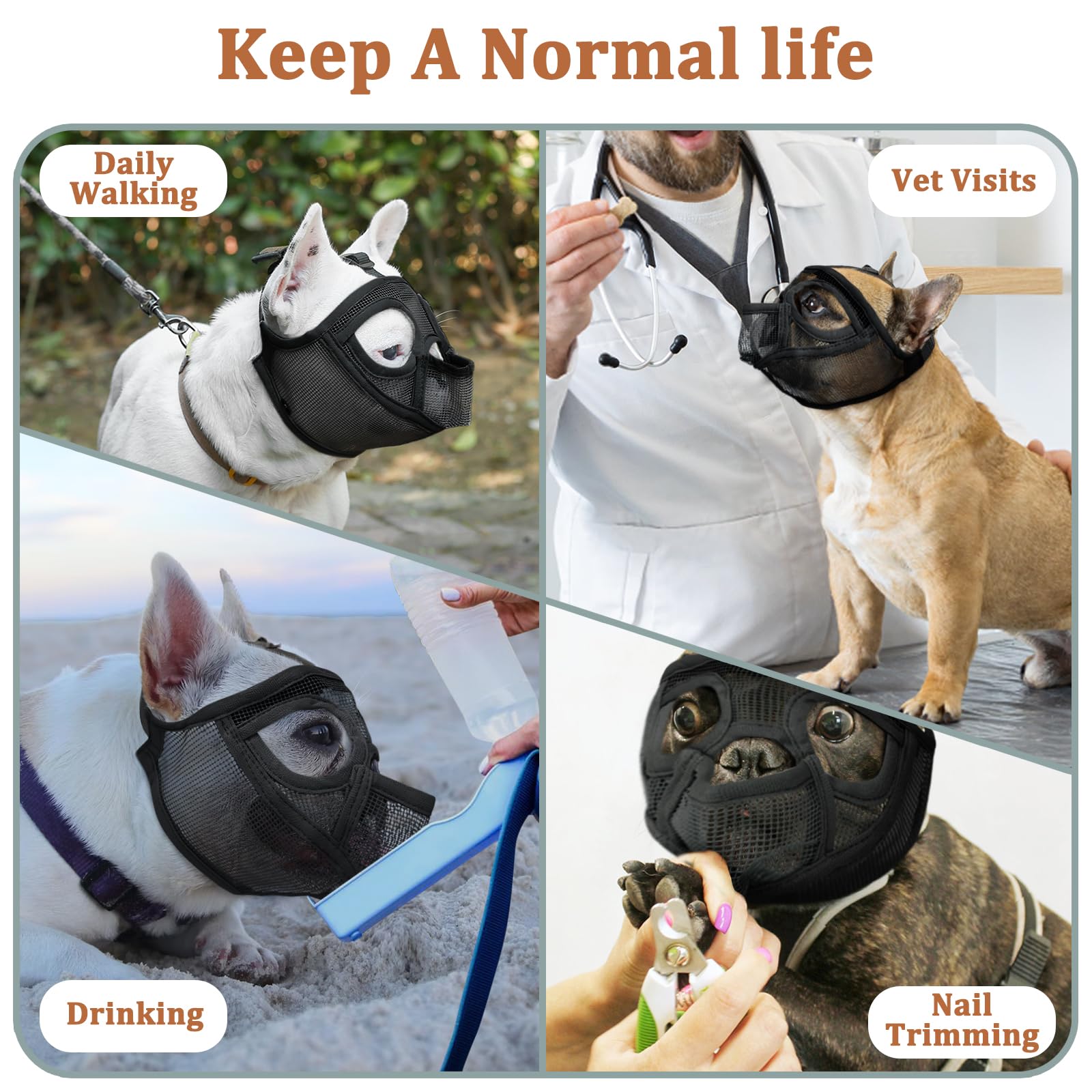 Mayerzon muzzle during grooming enables calm, controlled sessions
