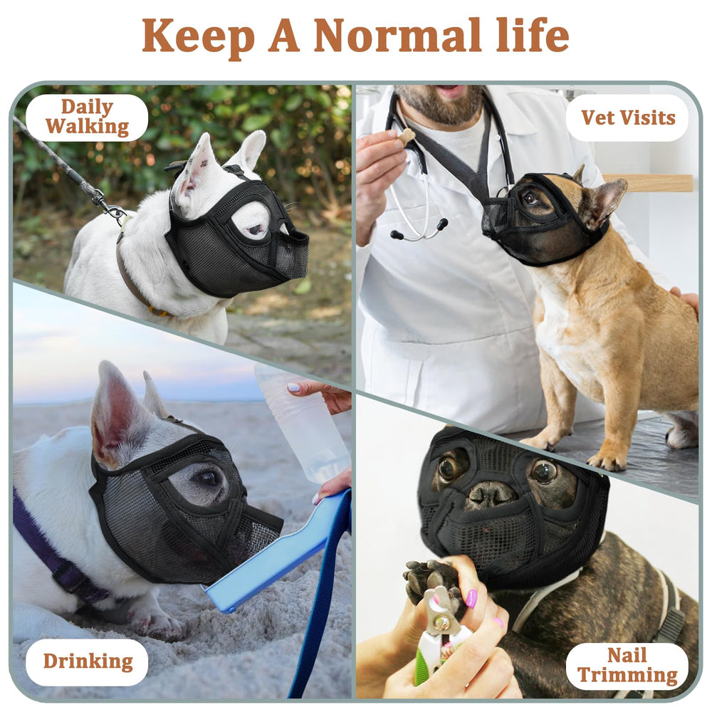 Mayerzon muzzle during grooming enables calm, controlled sessions