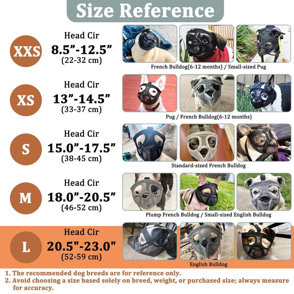 Mayerzon five-size range fits brachycephalic breeds like French Bulldog