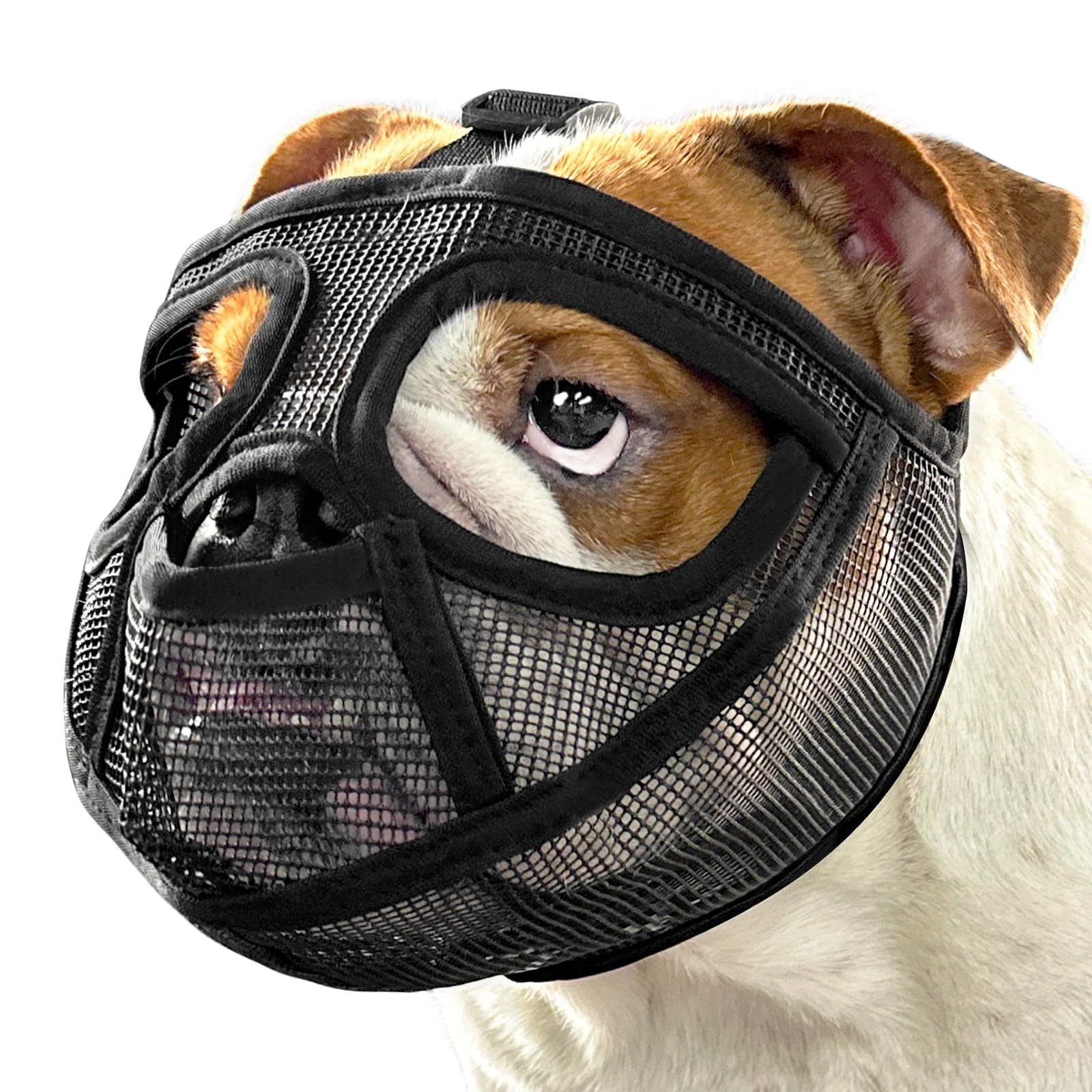 Mayerzon short snout muzzle with breathable mesh for comfortable outdoor wear