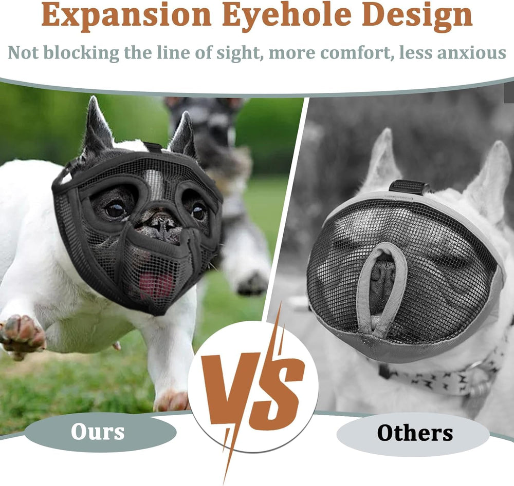 Mayerzon muzzle allows drinking during walks and grooming sessions