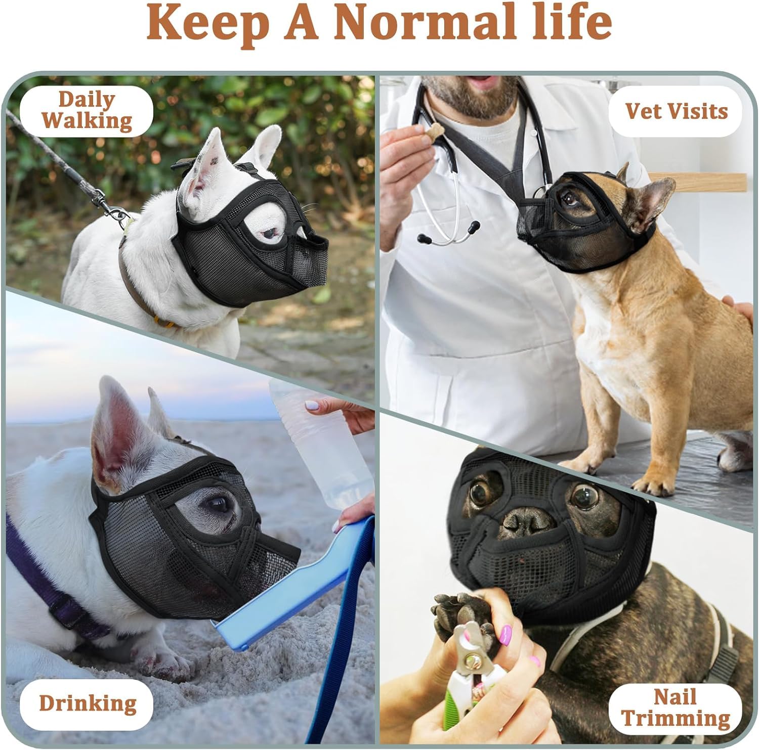 Mayerzon muzzle is easy to clean after outdoor adventures
