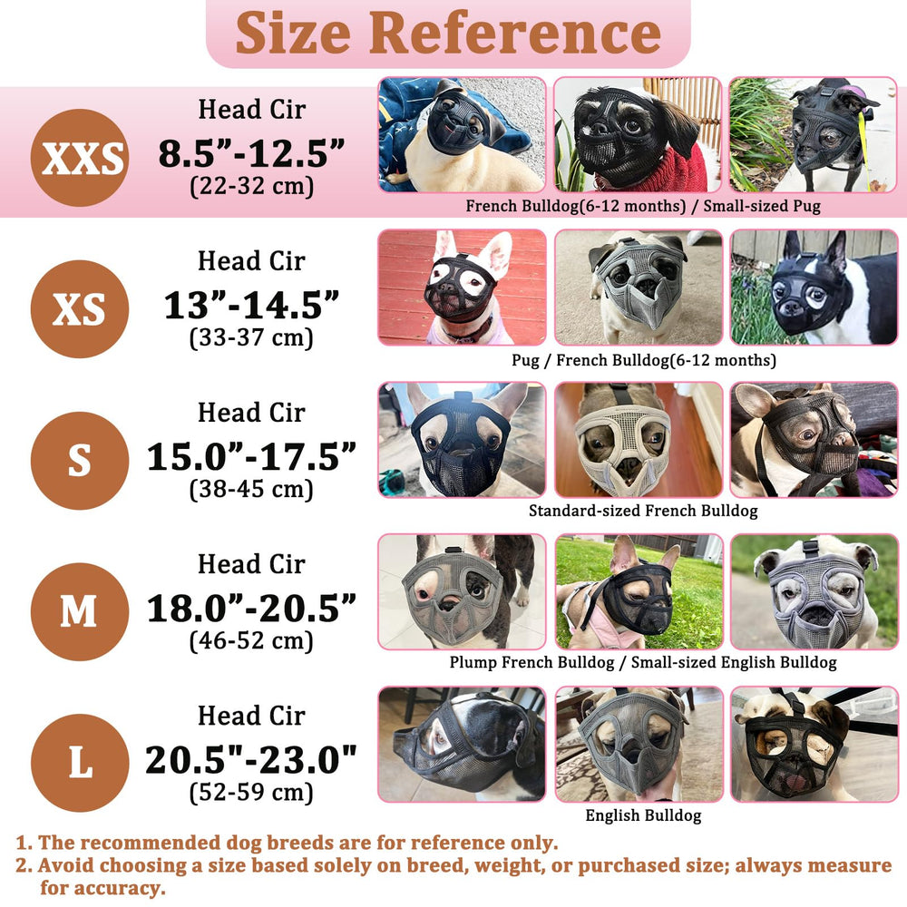 Mayerzon Short Snout Muzzle allows drinking during outings.