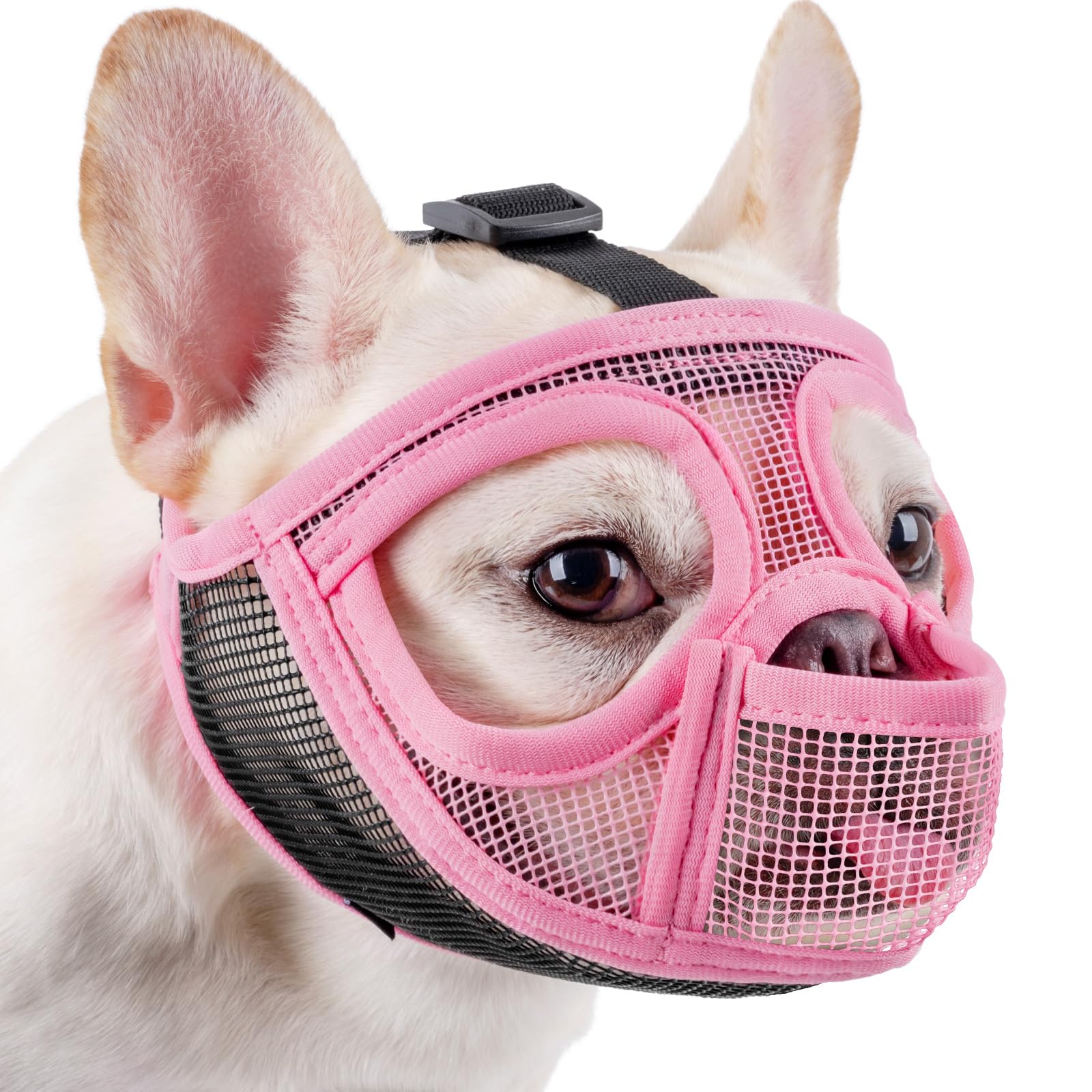Mayerzon Short Snout Muzzle front view for brachycephalic breeds, safe outdoors.