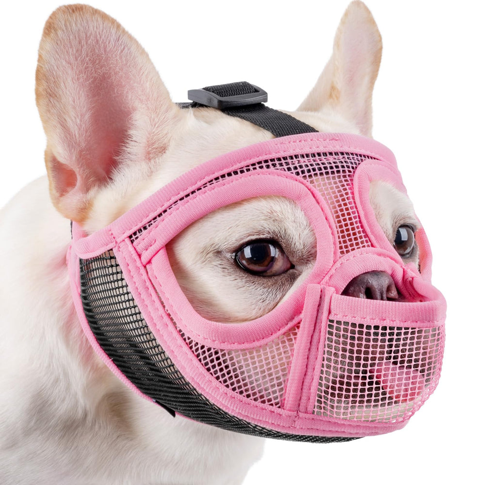 Mayerzon short snout muzzle with full pant design for safe outdoor walks