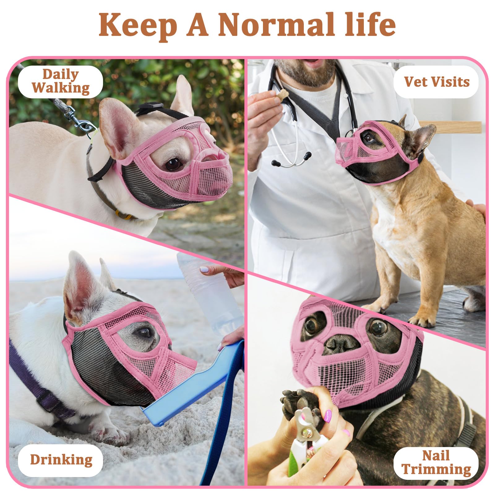 Mayerzon Short Snout Muzzle ideal for grooming and vet visits.
