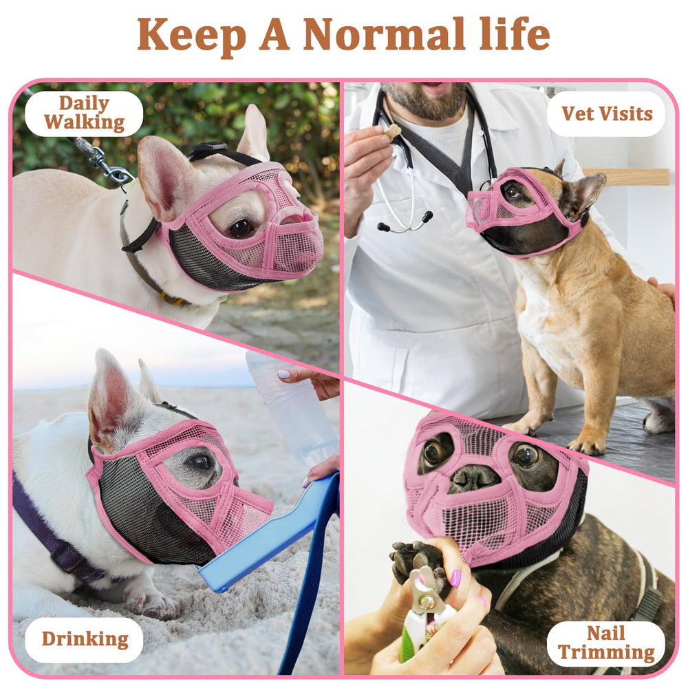 Mayerzon Short Snout Muzzle ideal for grooming and vet visits.