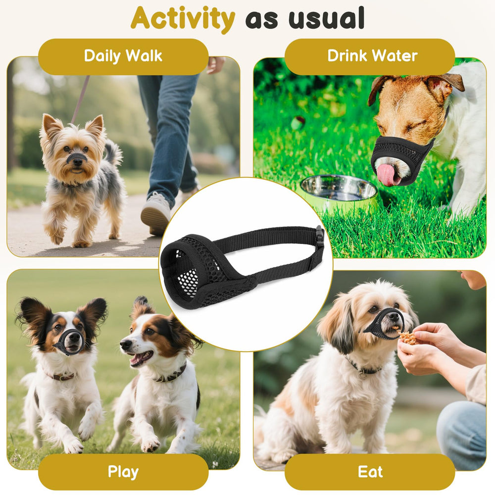 Train with treats to improve acceptance of Mayerzon muzzle.