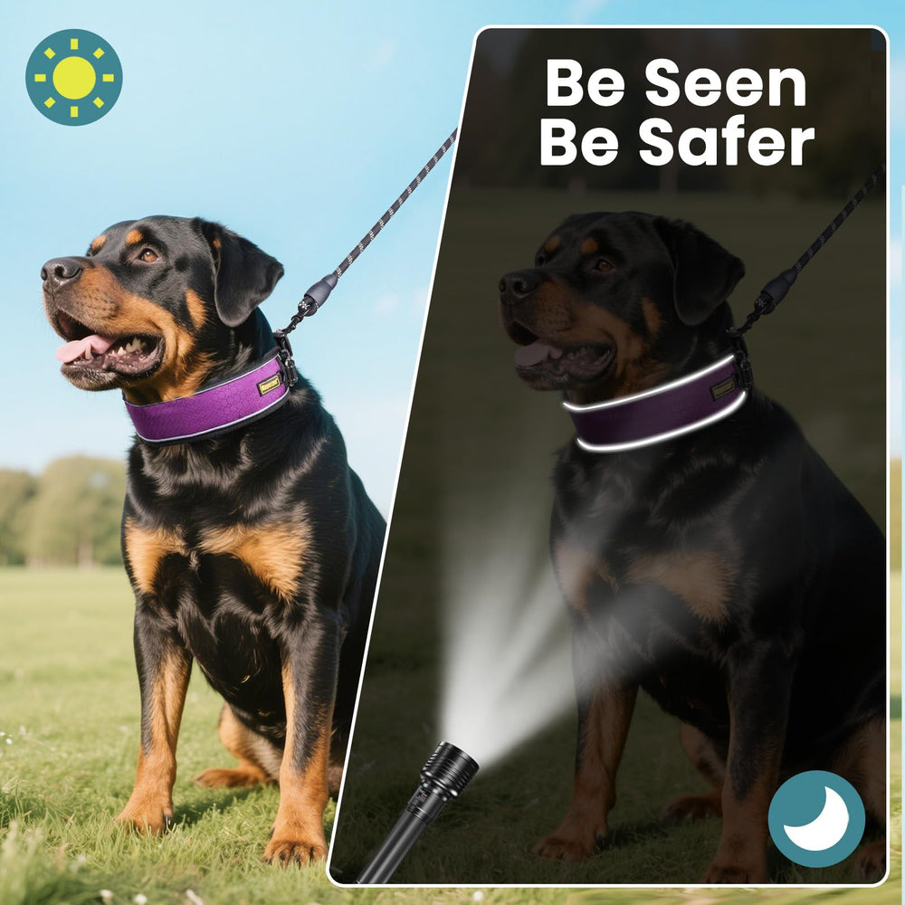 Mayerzon collar designed for Beagle to German Shepherds during daily walks.