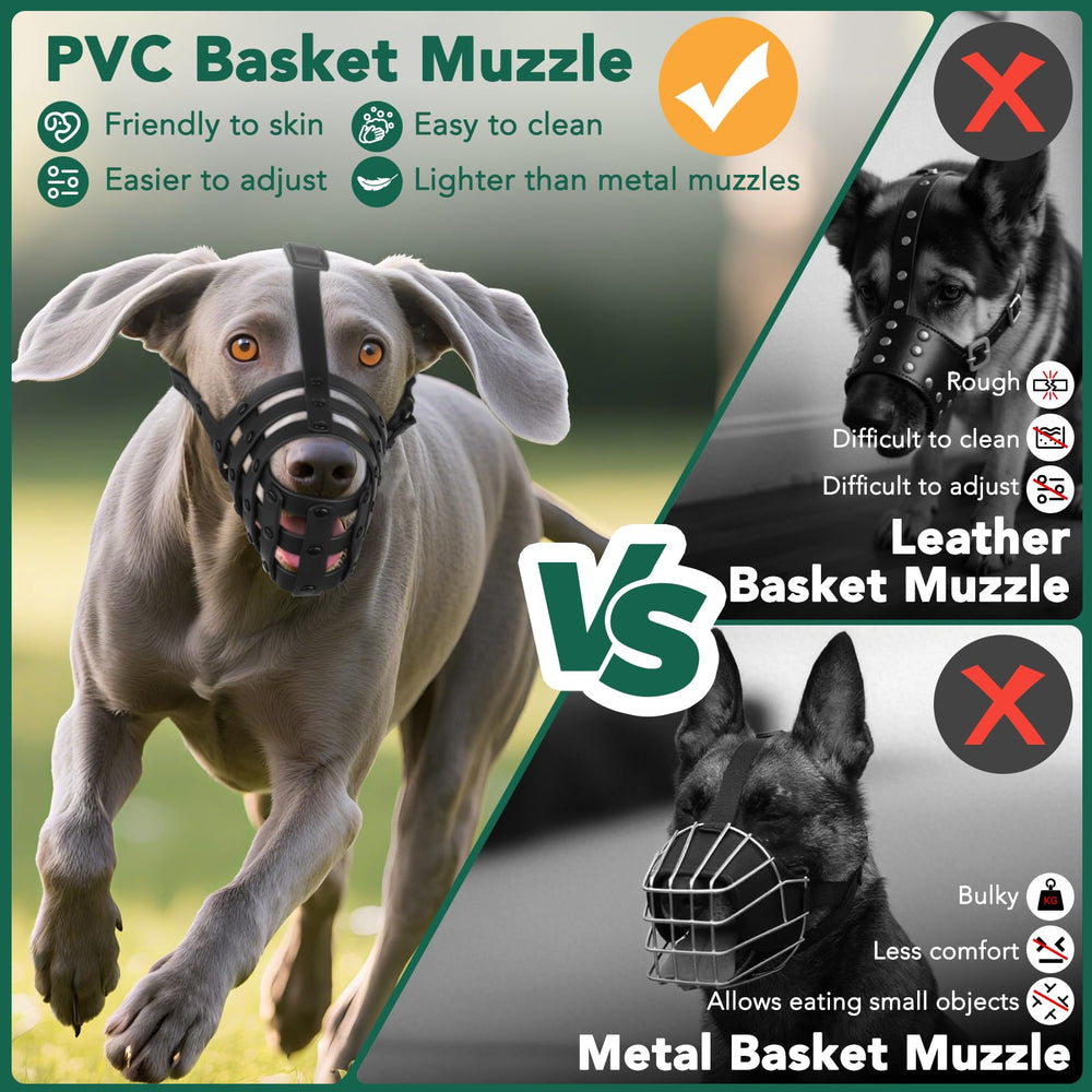 Mayerzon training muzzle demonstrating behavior control in calm setup