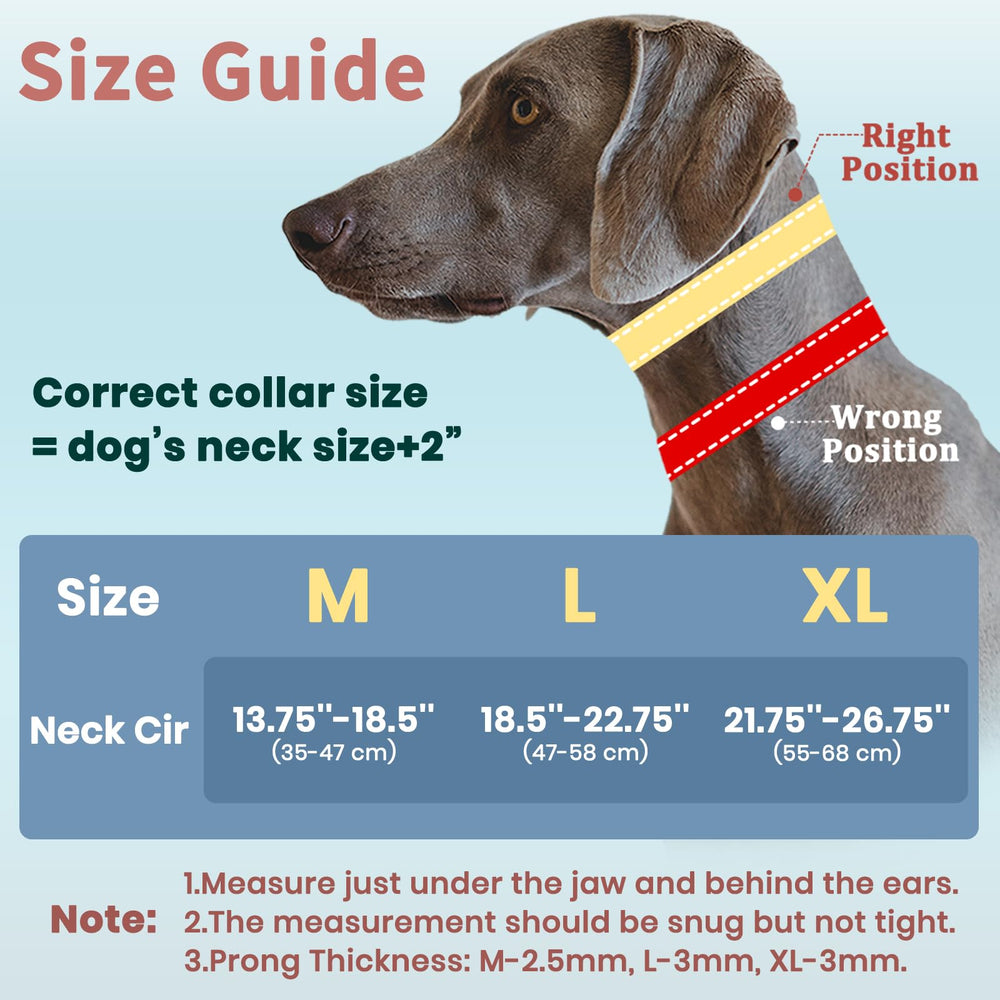 Mayerzon waterproof outer layer and breathable mesh keep dogs comfortable outdoors.