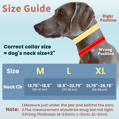 Mayerzon waterproof outer layer and breathable mesh keep dogs comfortable outdoors.