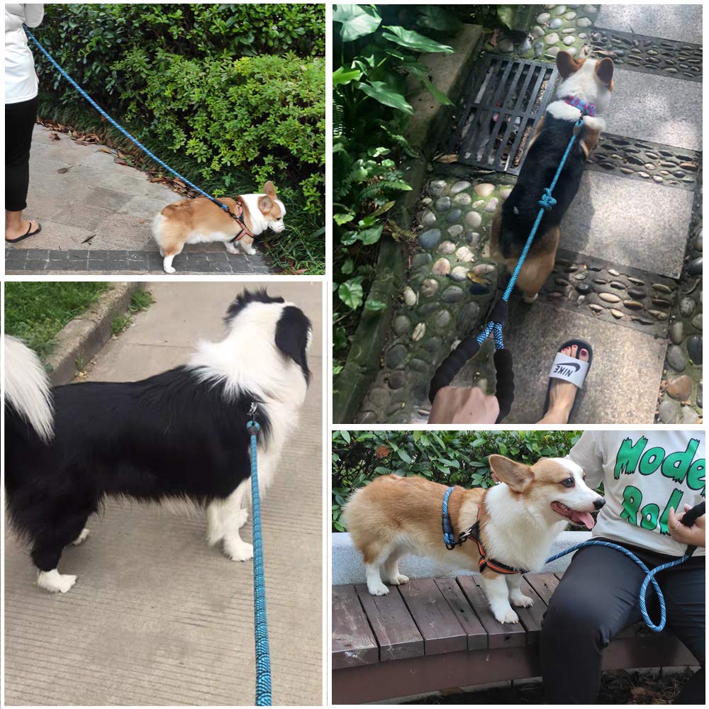 MayPaw nylon rope leash is lightweight yet strong for daily use