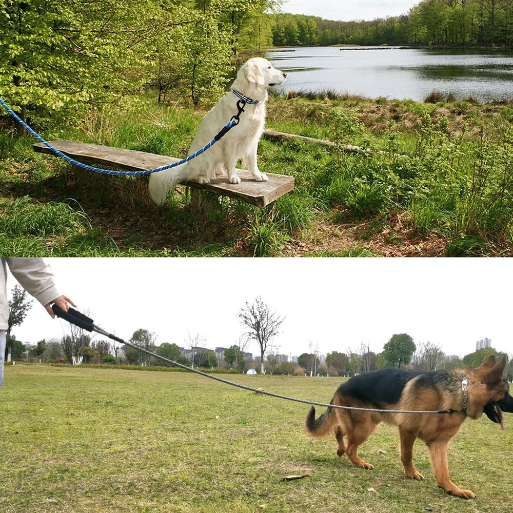 MayPaw 12-15 ft training leash for recall and exploration.