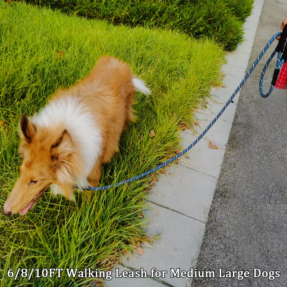 MayPaw heavy duty leash with classic metal clip for quick on/off