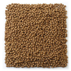 Mazuri Koi Food Small koi swimming, illustrating appetizing pellet shape.