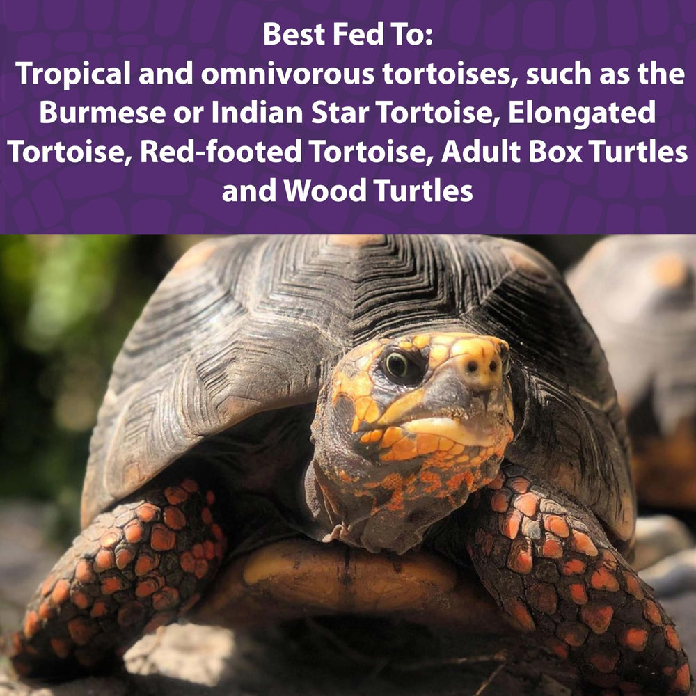 Large-particle Mazuri Tortoise Diet pellets encourage foraging in tortoises.
