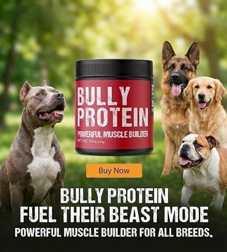 MBF Supplements Bully Protein Powder dog eating to illustrate meal boost