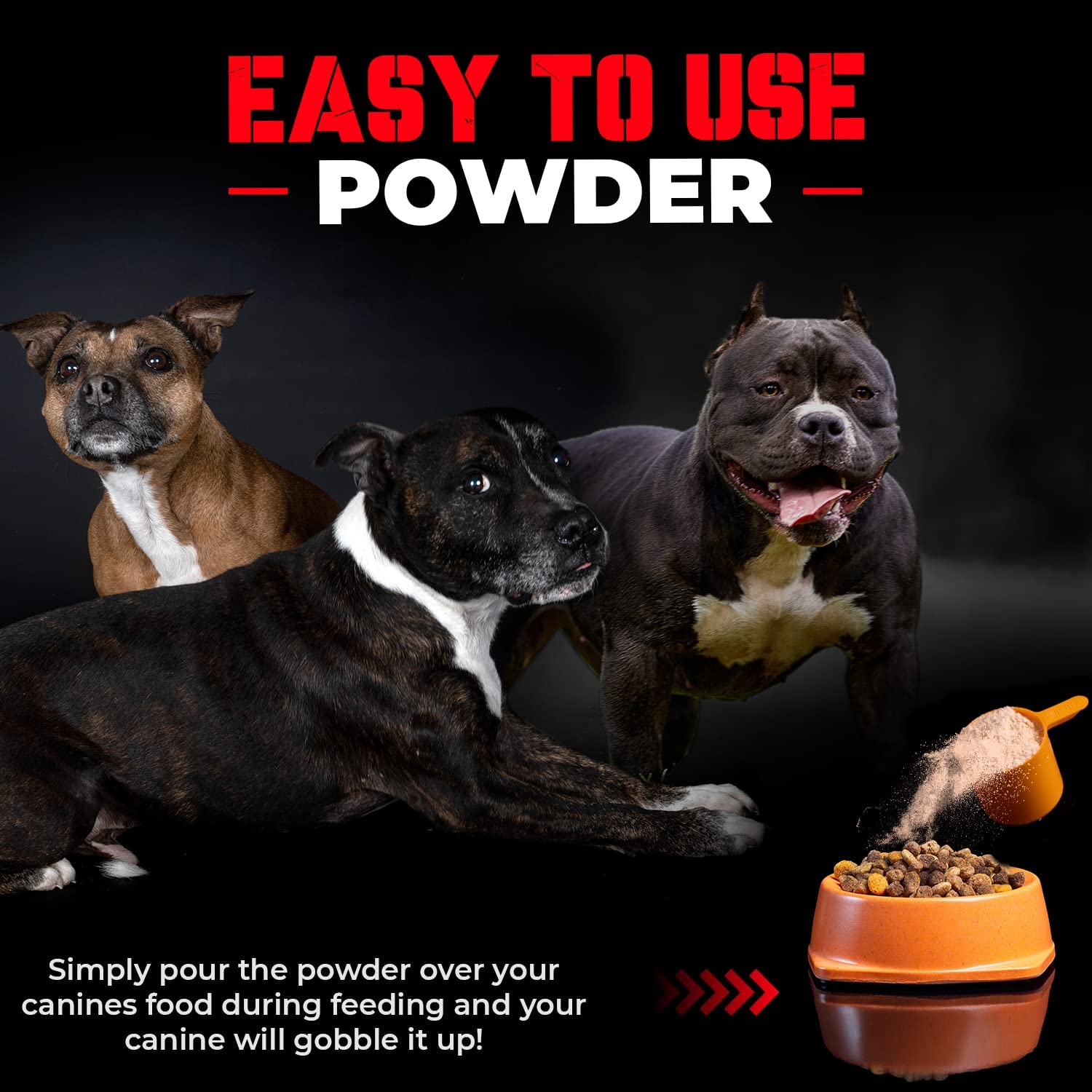 MBF Supplements Bully Protein Powder packaging detail emphasizing clean ingredients