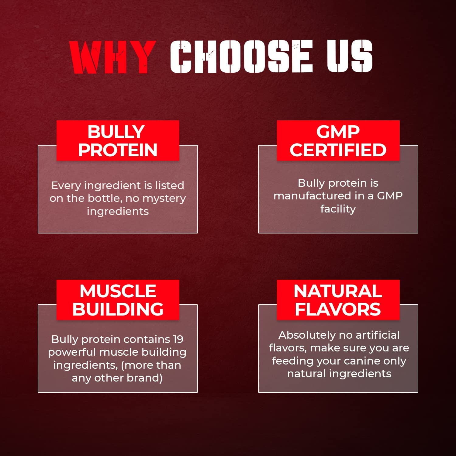 MBF Supplements Bully Protein Powder pouring over kibble for easy mixing