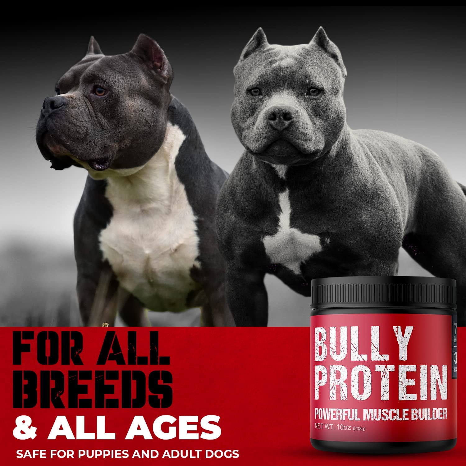MBF Supplements Bully Protein Powder scoop sprinkled over dog food