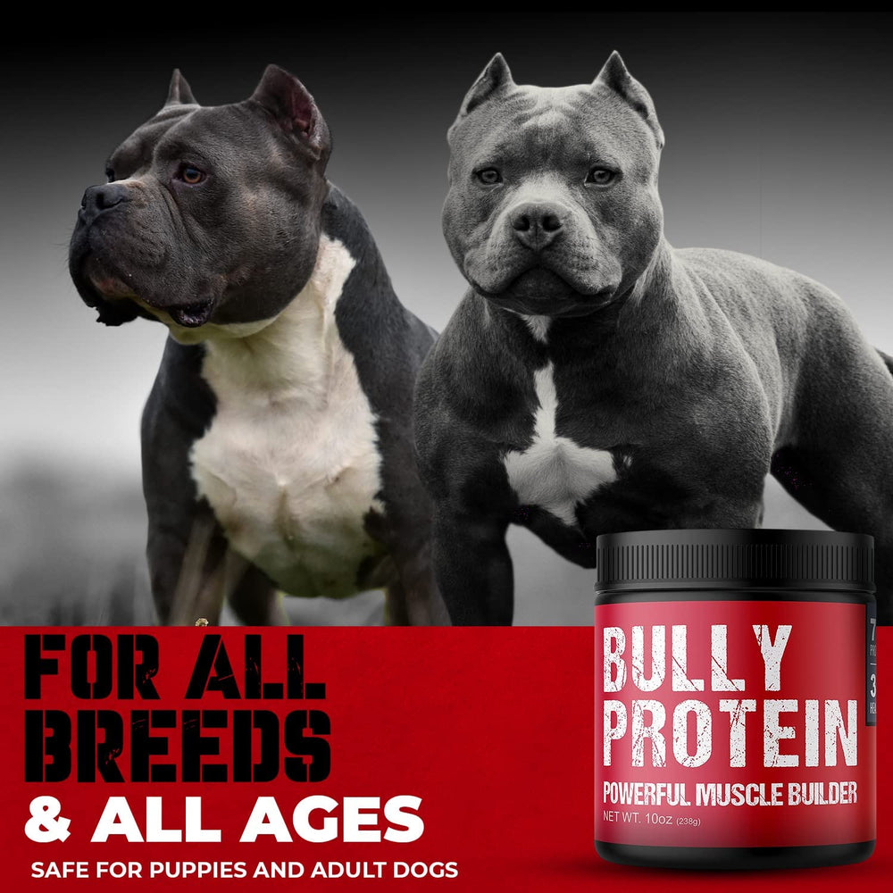 MBF Supplements Bully Protein Powder scoop sprinkled over dog food