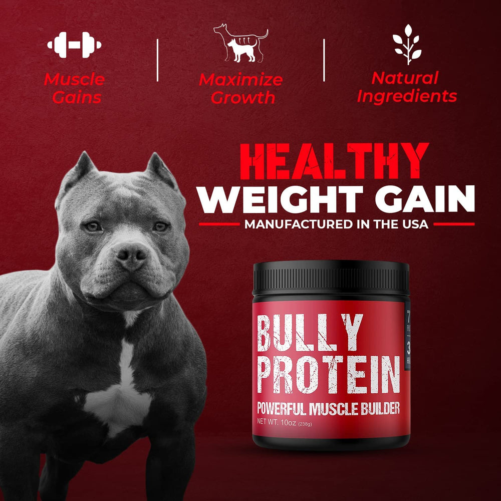 MBF Supplements Bully Protein Powder texture close-up highlighting real meat protein