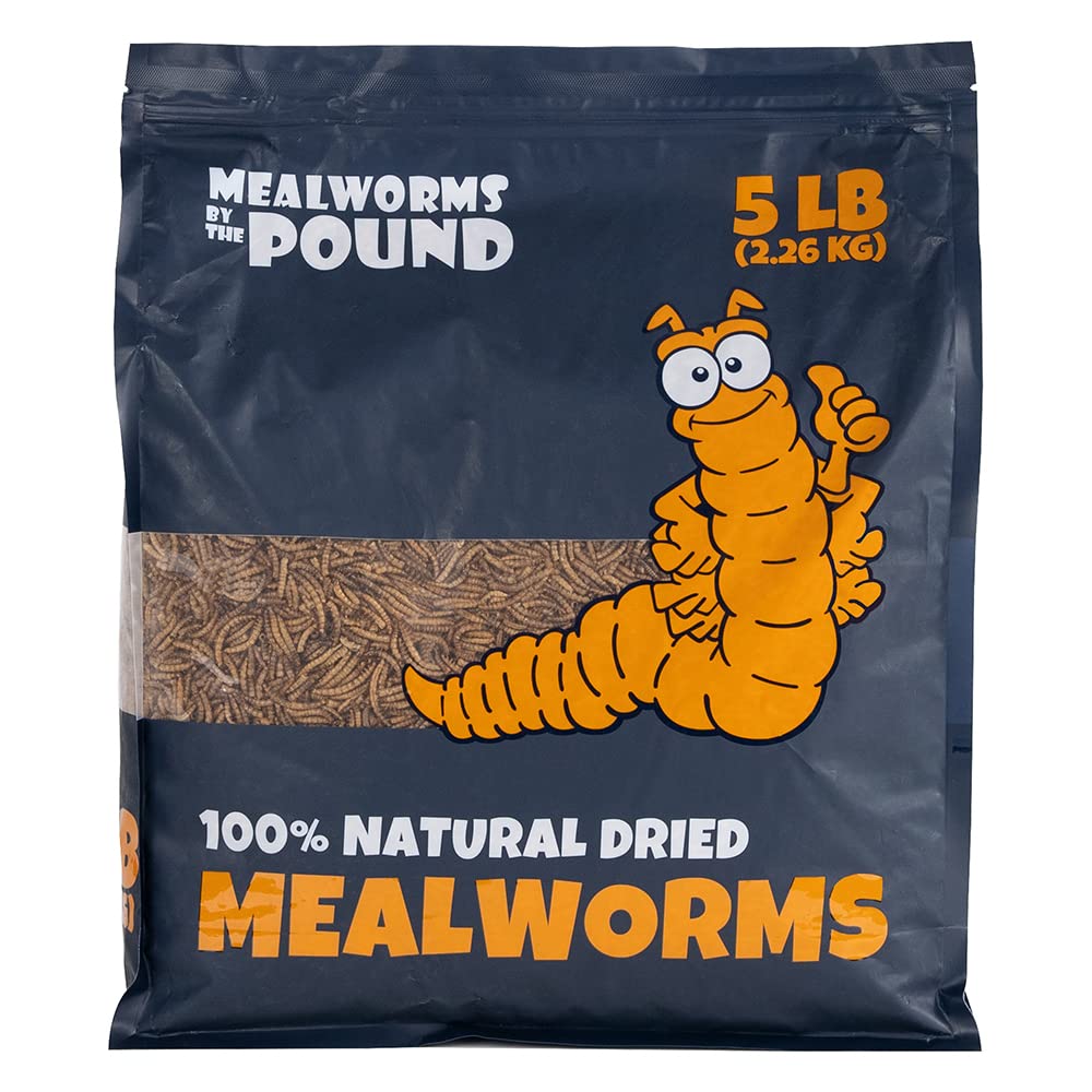 MBTP bulk dried mealworms served as protein-packed treat for small pets.