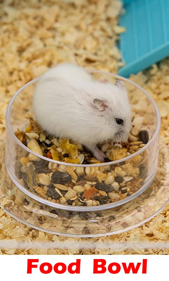 Spacious habitat by Mcage suitable for small pets and enrichment