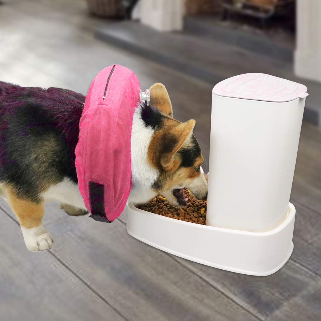 MCHY recovery collar pink front view keeps vision clear