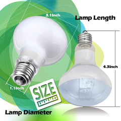 MCLANZOO 50W UVA heat lamp in a socket supports consistent basking.