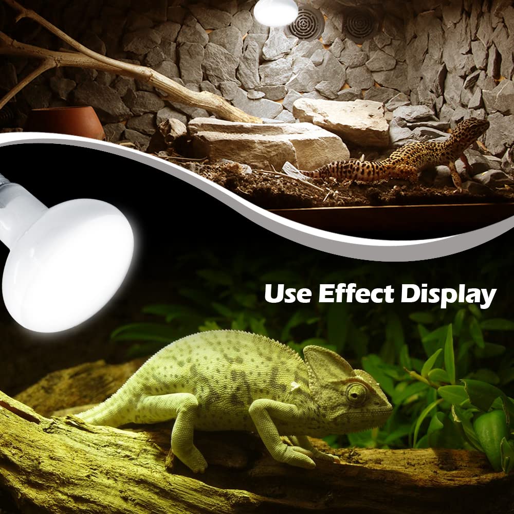 MCLANZOO bearded dragon habitat setup with reliable heat and UV exposure.