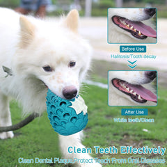 M.C.works Dragon Egg Toy designed for aggressive chewers' durability.