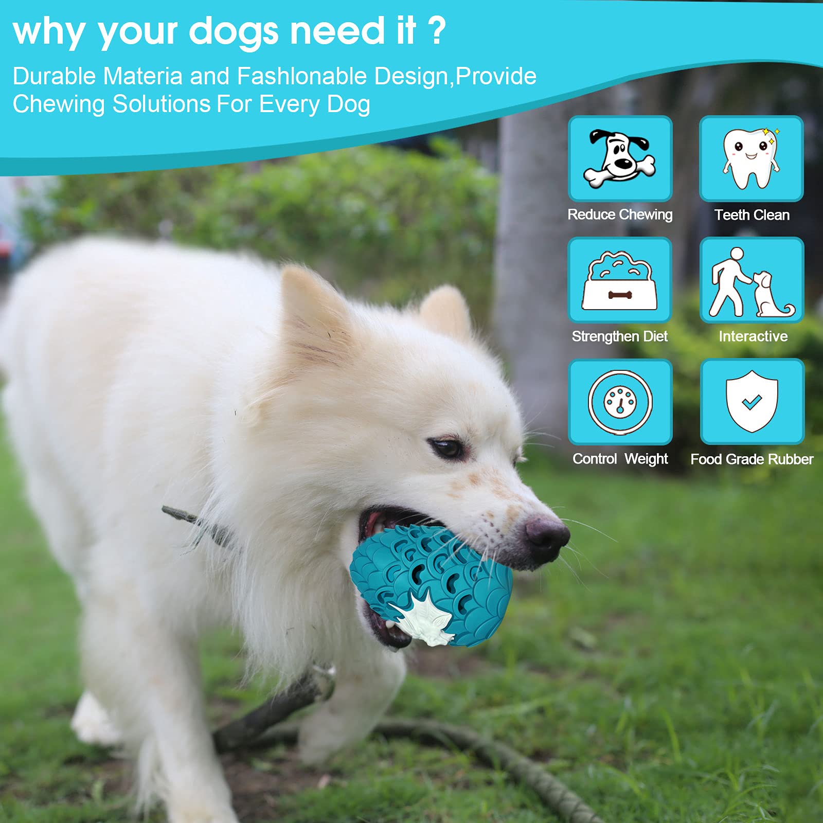 M.C.works Dragon Egg Toy interactive fetch and training play.