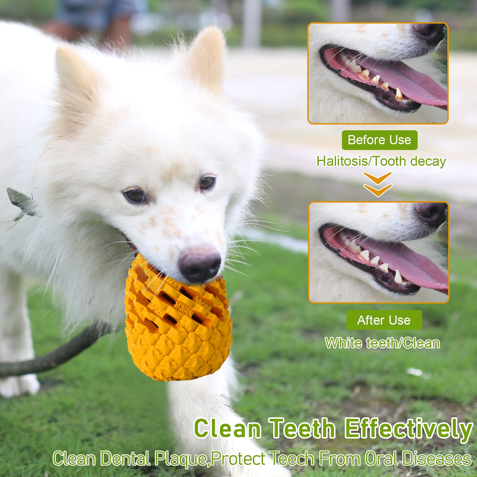 M.C.works indestructible rubber dog toy shows tough material for large breeds.