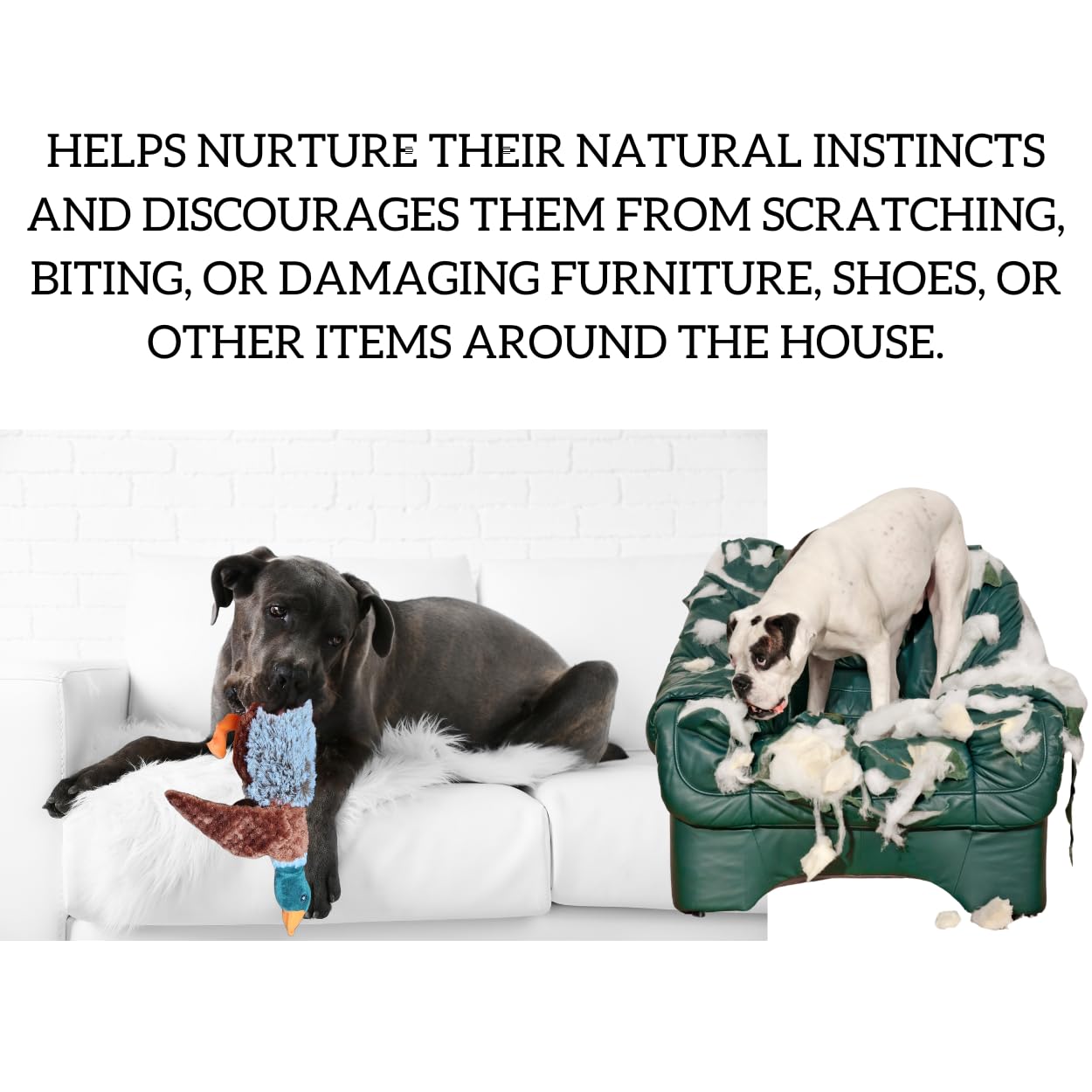 Me Gusta Shop soft plush texture suits gentle-mouthed dogs.