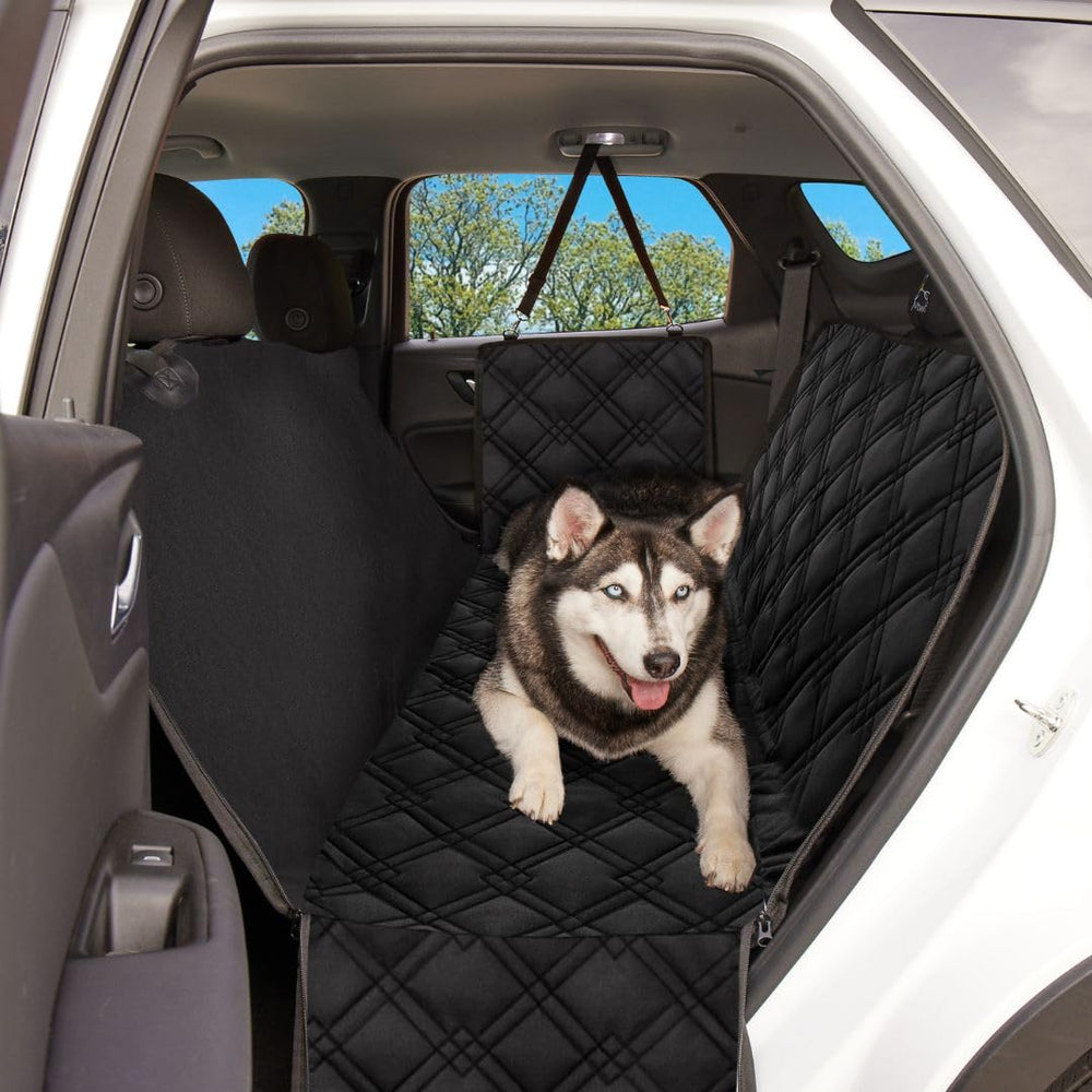 Meadowlark side flaps shield doors during rides