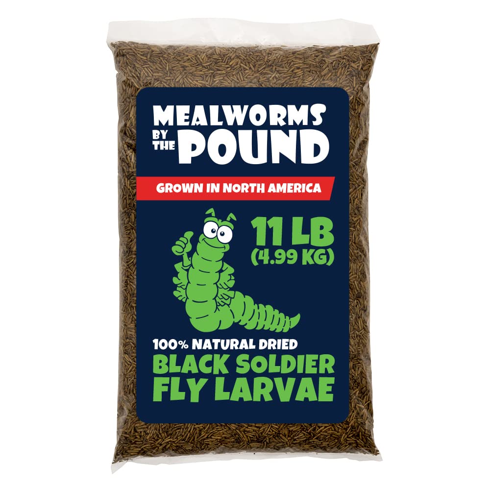 Mealworms by the Pound BSFL bulk 11lb image emphasizes North American grown supply.